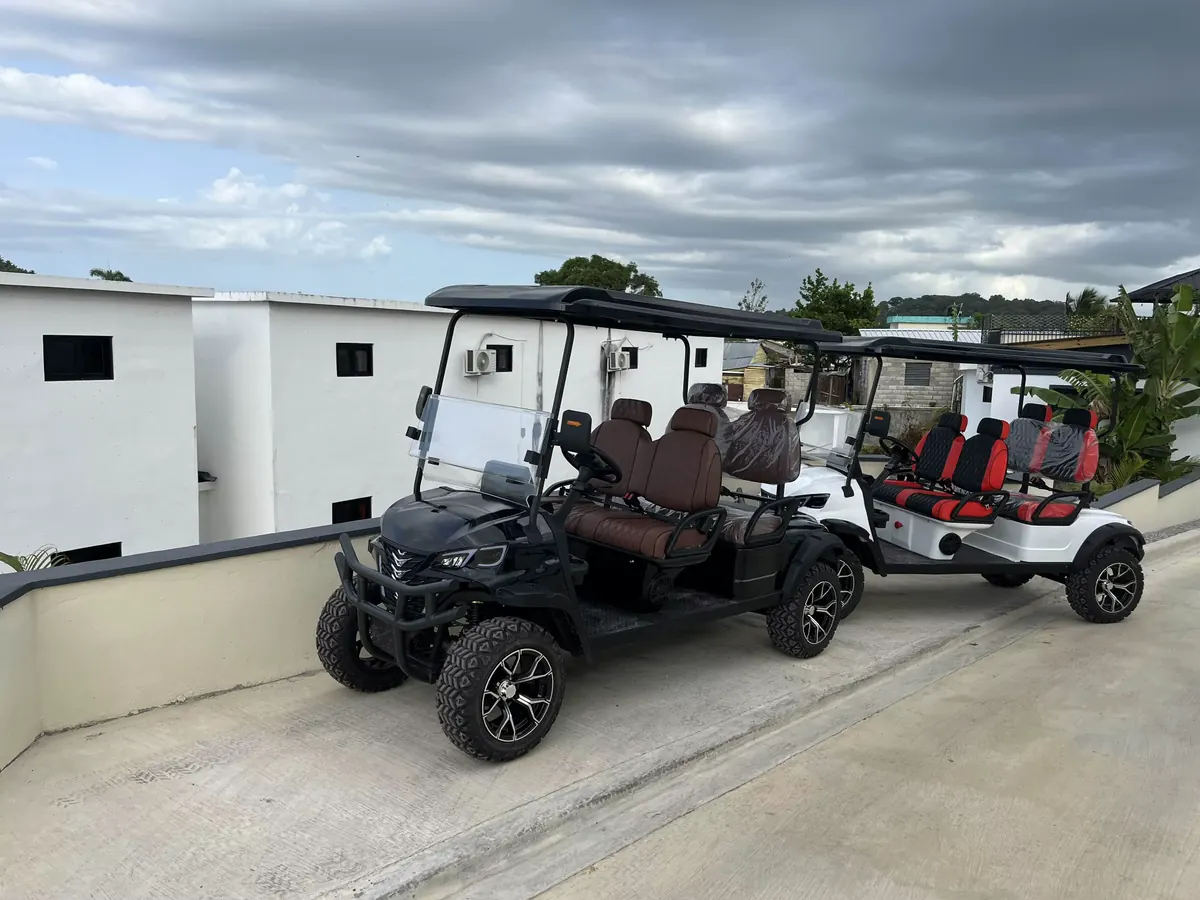 Customer golf carts photo